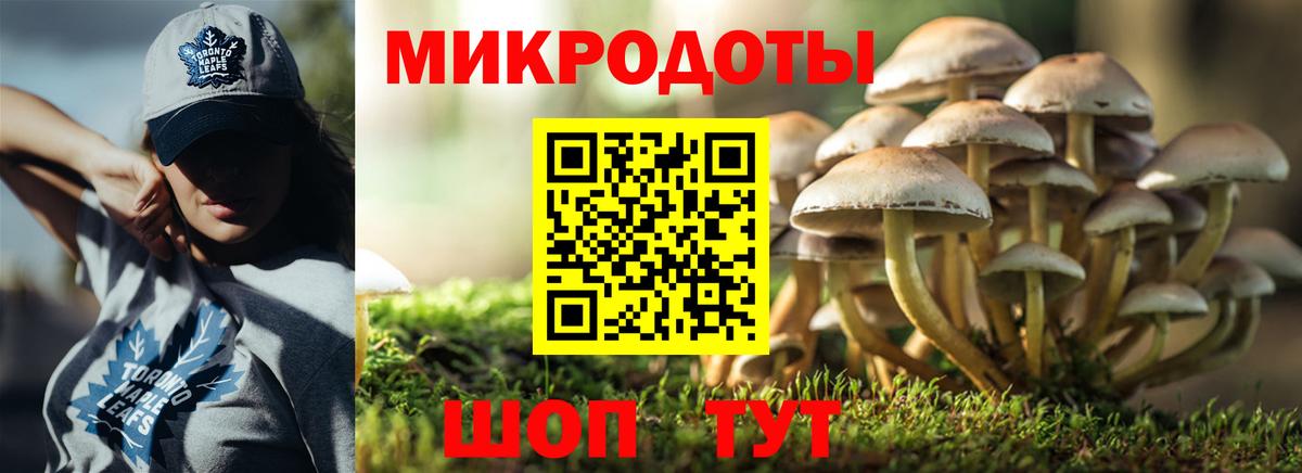 Галлюциногенные грибы Cubensis Искитим